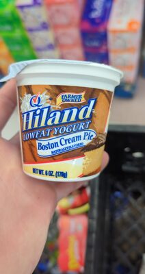 Hiland Lowfat Yogurt Boston cream pie