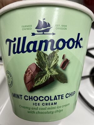 Tillamook mint chocolate chip ice cream