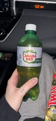 Zero Sugar Ginger Ale