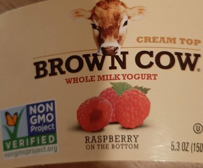 Cream Top Raspberry Yogurt