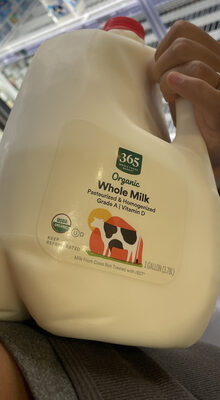 Organic Whole Milk
