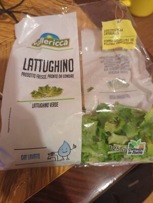 Lattughino