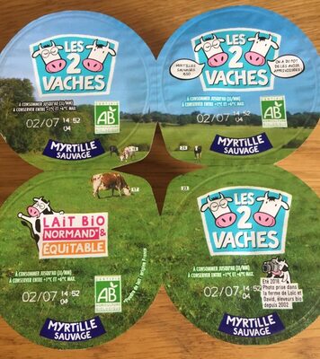 Myrtille sauvage