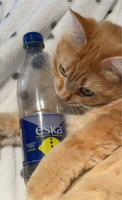 eska sparkling lemon