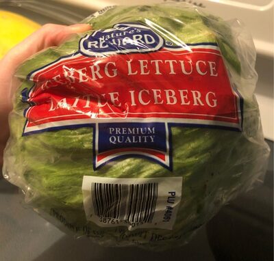 Laitue iceberg