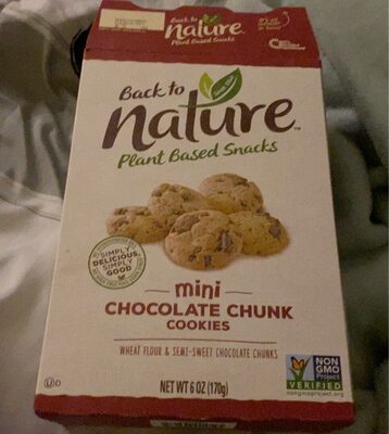 Mini Chocolate Chunk Cookies