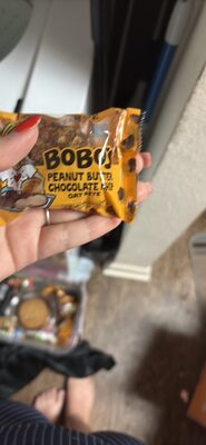 Peanut Butter Chocolate Chip Oat Bite