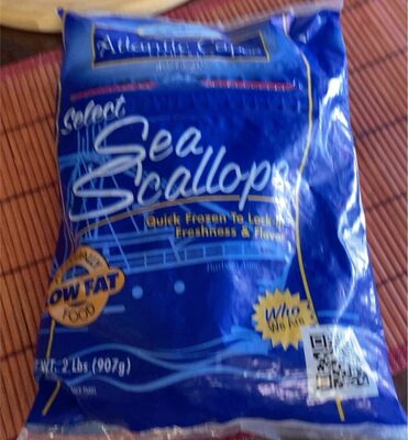 Sea Scallops