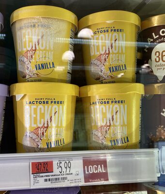 Vanilla Ice Cream