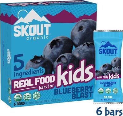Skout organic blueberry blast bars