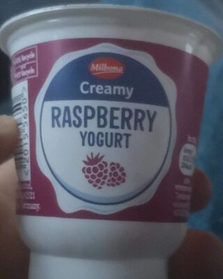 Creamy Rasberry-Yogurt