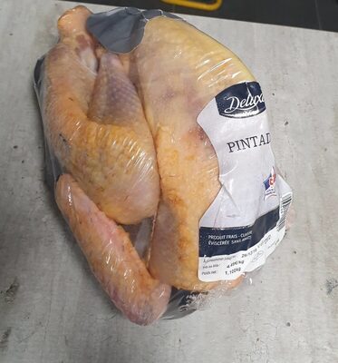 Pintade