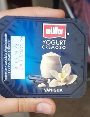 yogurt cremoso