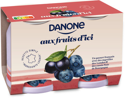 Danone aux fruits d'ici fruits de nos recoltes 145 g x 2