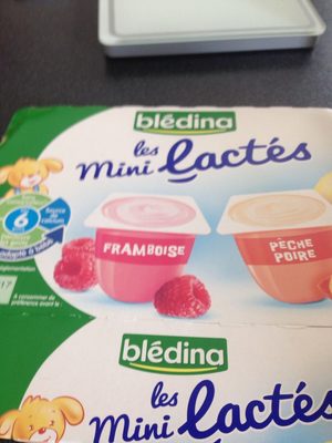 Bledilacte Aliments Infantiles Pot Plastique Framboise Ou Peche Ou Poire Standard 12CT Des 6 Mois Lisse Dessert Et Fruit