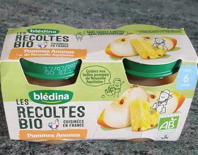 BLEDINA LES RECOLTES BIO POTS 2x130g Pommes Ananas Dès 6 mois