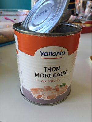 thon morceaux