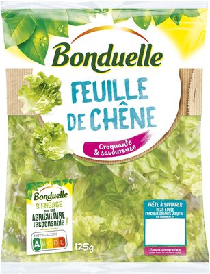 Feuille de Chêne