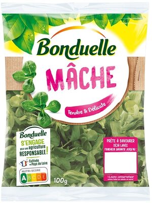 Mâche