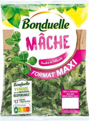 Mâche