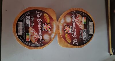ile flottante
