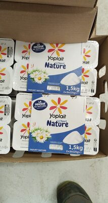 yaourt nature