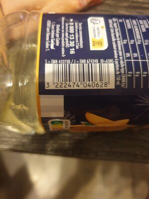 Nectar de Mangue