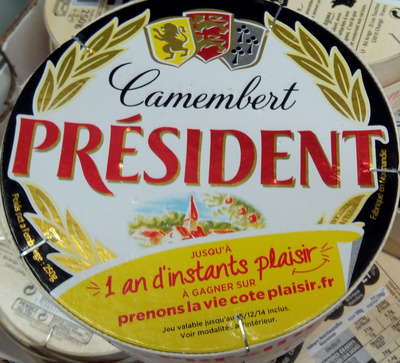 Camembert (21 % MG)