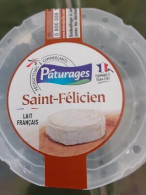 Saint  Félicien