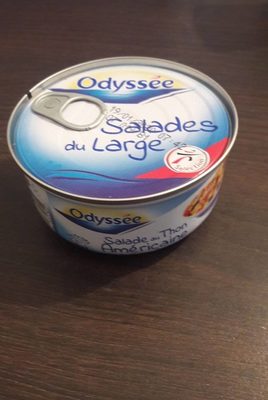 Salade au thon américaine