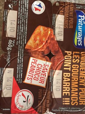 Pâturages Crème dessert saveur choco peanuts les 4 pots de 115 g
