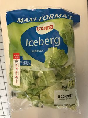 Iceberg (maxi format)