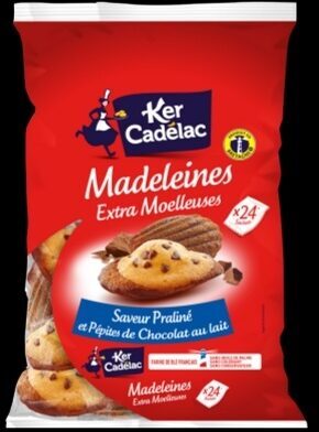 Madeleines saveur praliné et Pépites de chocolat