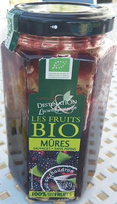 Les fruits Bio Mûres