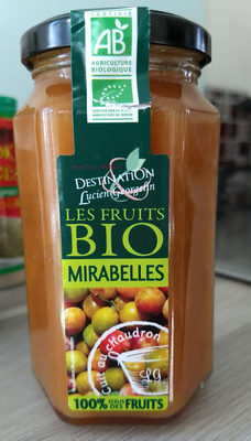 DESSERT ISSU DES FRUITS MIRABELLES