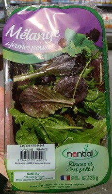 Mélange de jeunes pousses