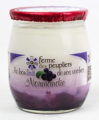 Yahourt a la myrtille