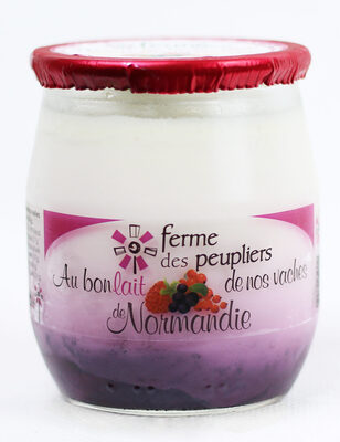 Yaourt fruits des bois