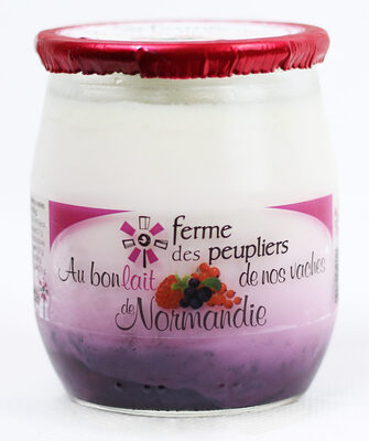 Yaourt fruits des bois