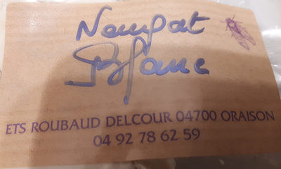 nougat blanc