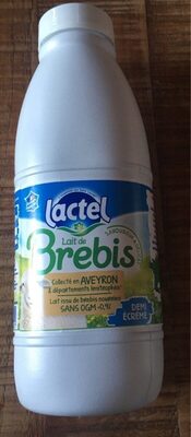 Lait de brebis