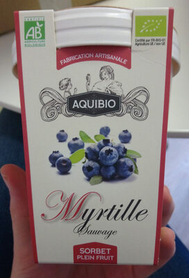 Sorbet myrtille plein fruit