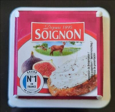Ziegenfrischkäse feige