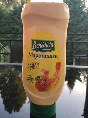 Mayo 255 g Bénédicta