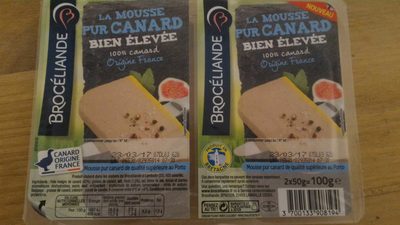 Mousse de canard