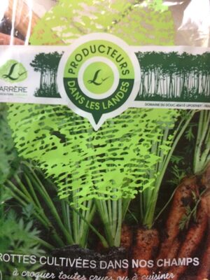 Carottes