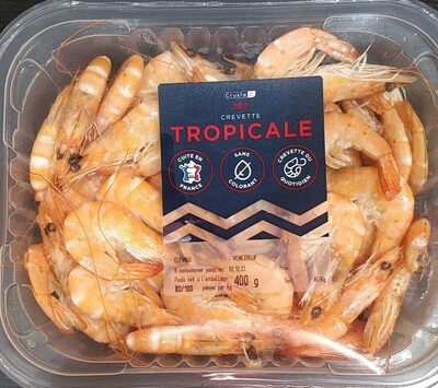 Crevette tropicale