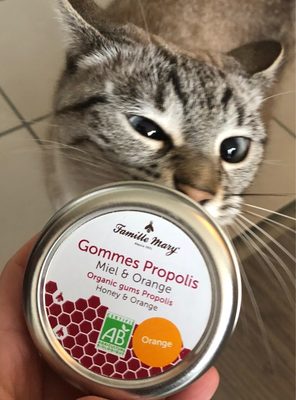 Gommes propolis