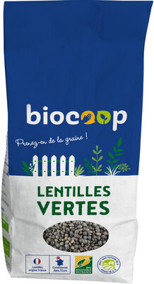 Lentilles vertes