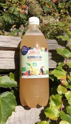 Kombucha Citron Gingembre
